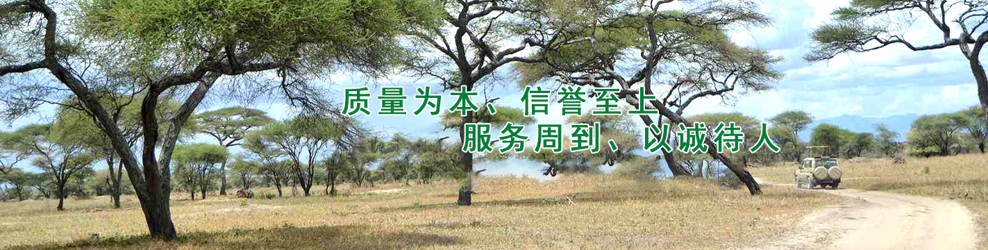 湖南省加快推動工業領域綠氫規模化應用